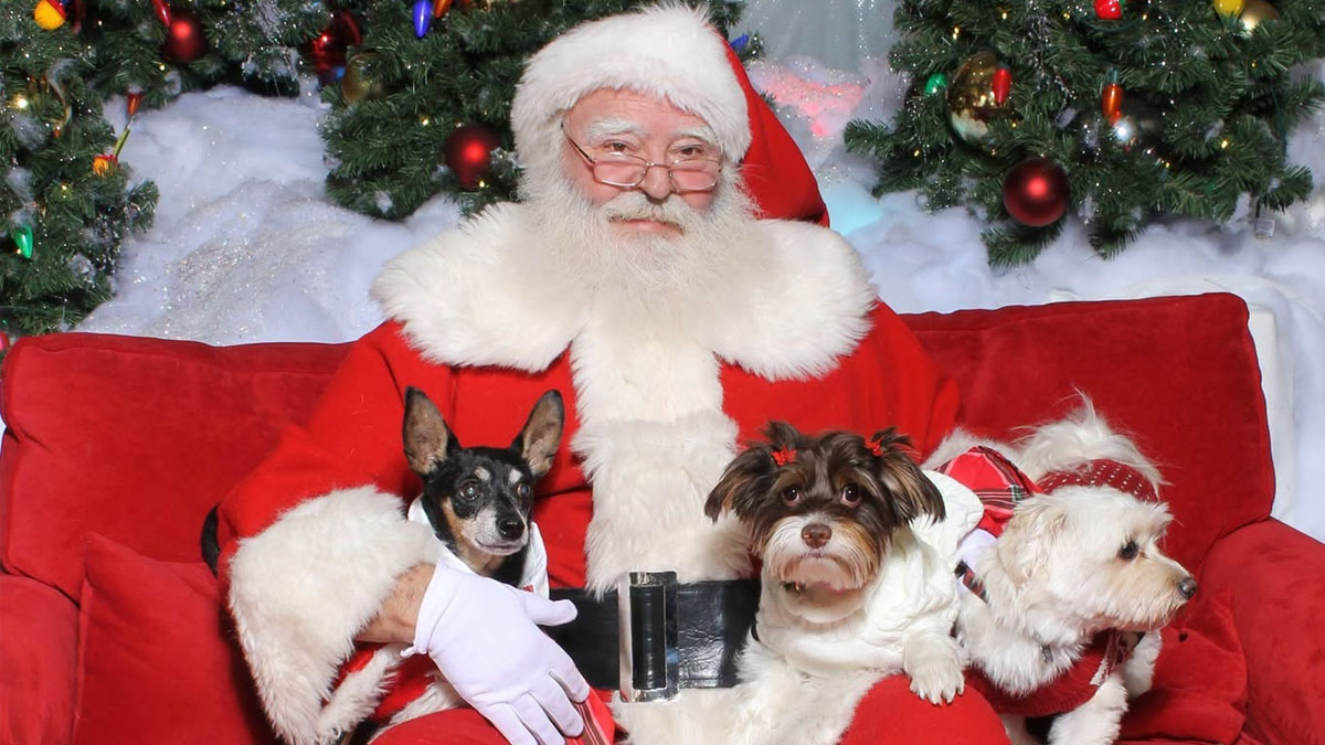 Santa Paws at Hawthorn